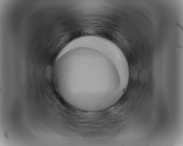 X0000096640036200802191229