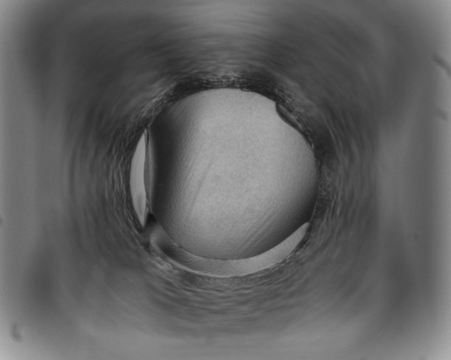 X0000096640037200802191229