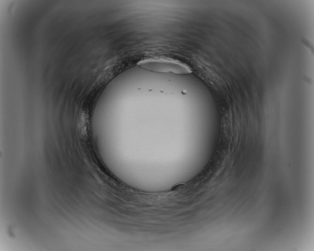 X0000096640038200802191229