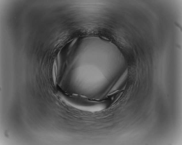 X0000096640039200802191229