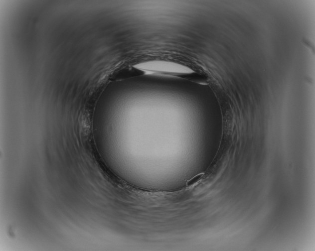 X0000096640040200802191229