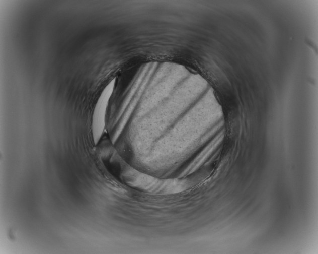 X0000096640041200802191229