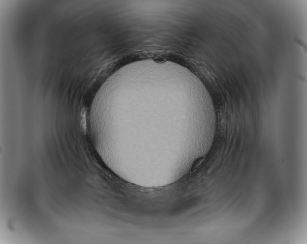 X0000096640042200802191229