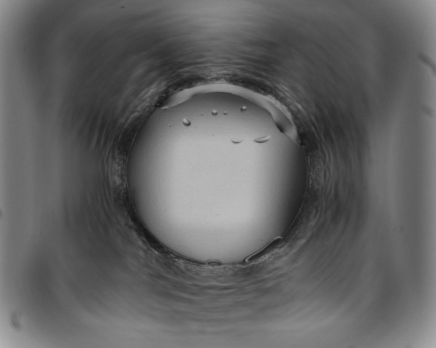 X0000096640044200802191229