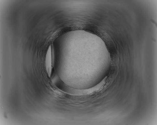 X0000096640045200802191229