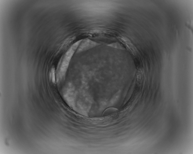 X0000096640046200802191229