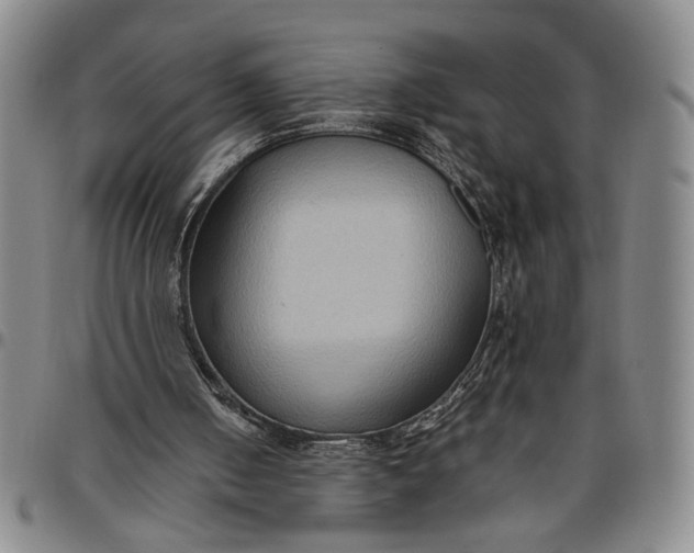 X0000096640050200802191229