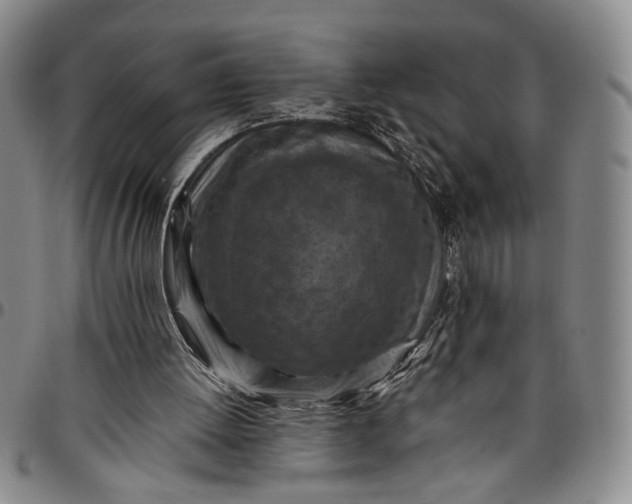 X0000096640052200802191229