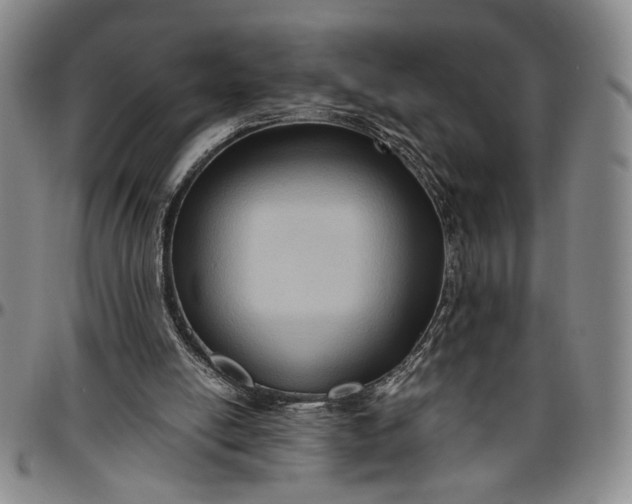 X0000096640054200802191229