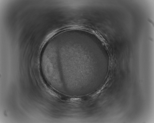 X0000096640055200802191229