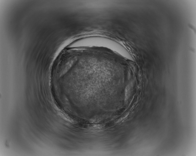 X0000096640056200802191229