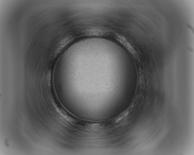 X0000096640058200802191229