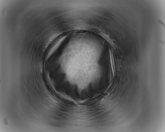 X0000096640060200802191229