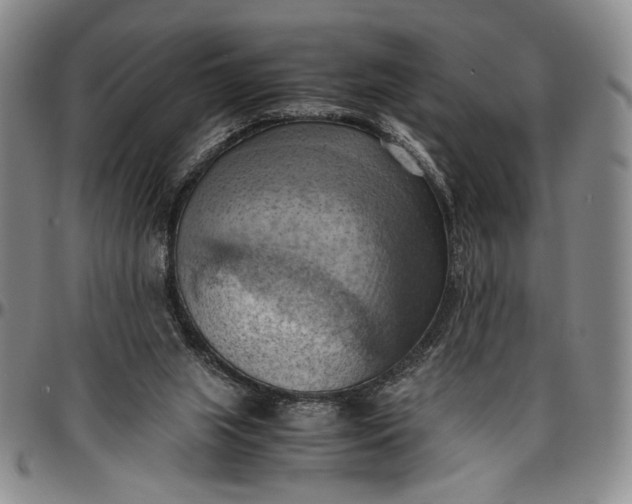 X0000096640063200802191229