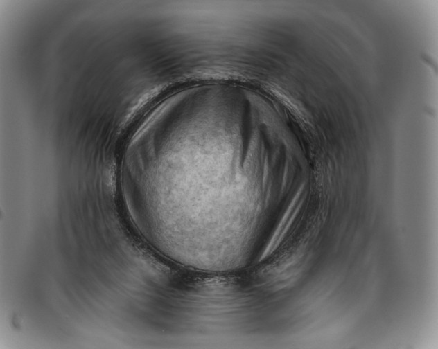 X0000096640064200802191229