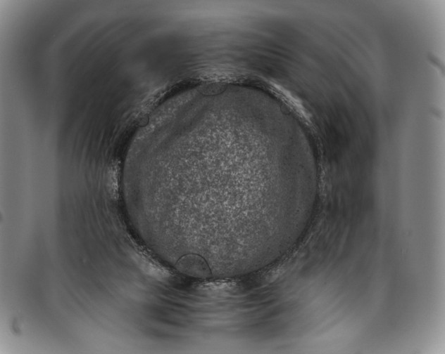 X0000096640065200802191229