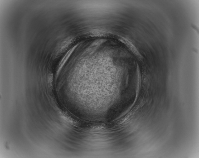 X0000096640066200802191229