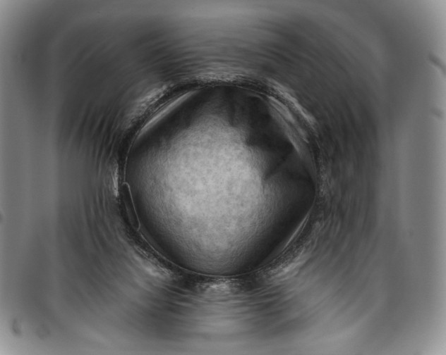 X0000096640068200802191229