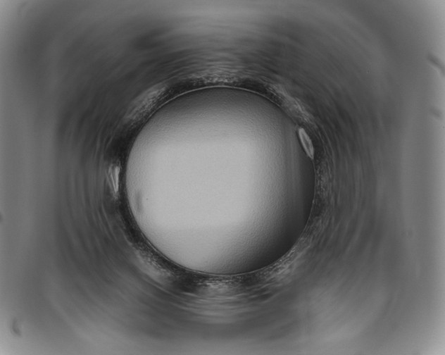 X0000096640070200802191229