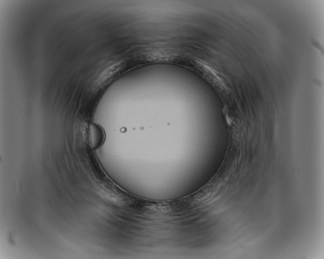 X0000096640071200802191229