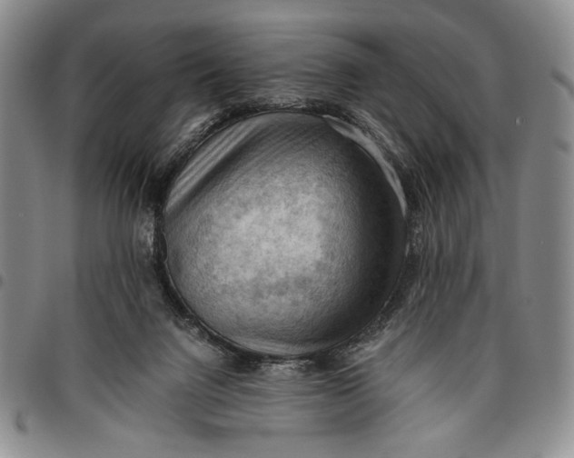 X0000096640072200802191229