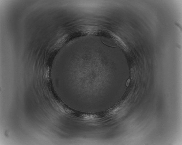 X0000096640073200802191229