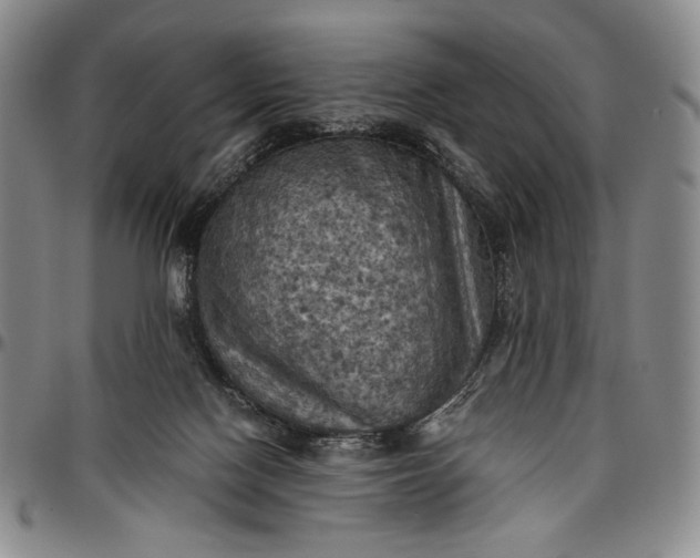 X0000096640074200802191229