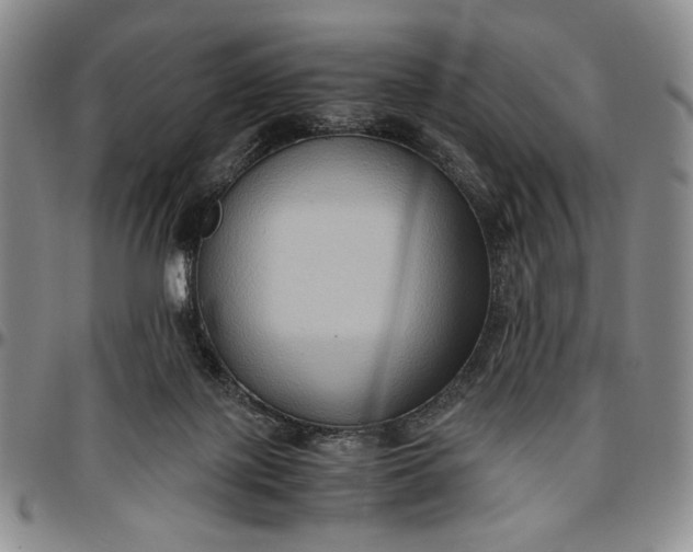 X0000096640075200802191229