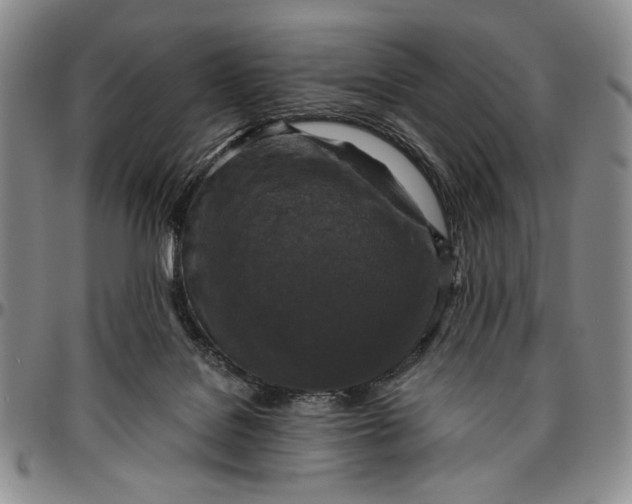 X0000096640076200802191229