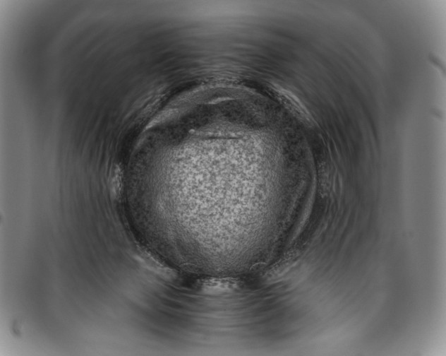 X0000096640077200802191229