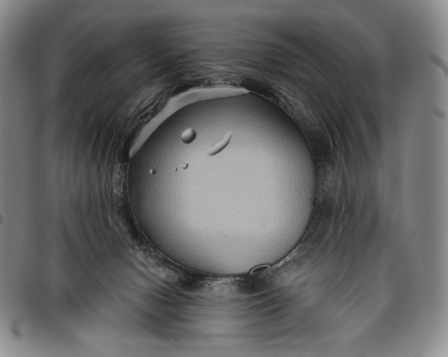 X0000096640078200802191229