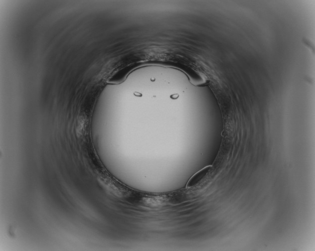 X0000096640079200802191229