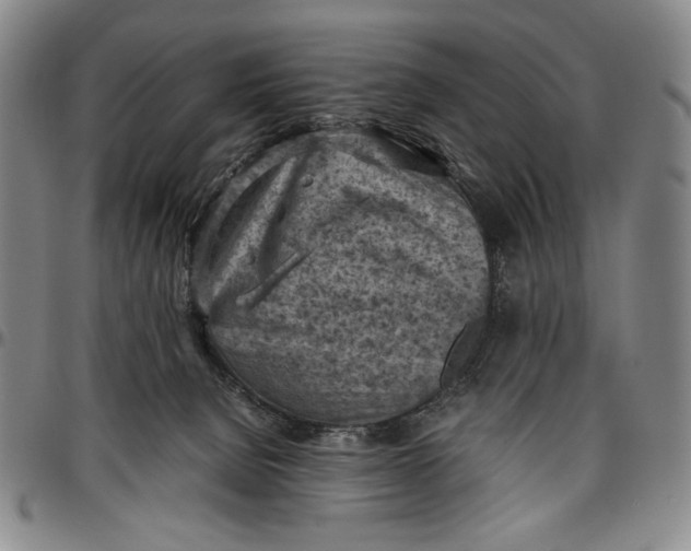 X0000096640080200802191229