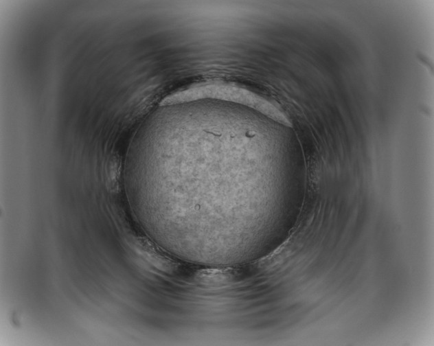 X0000096640082200802191229