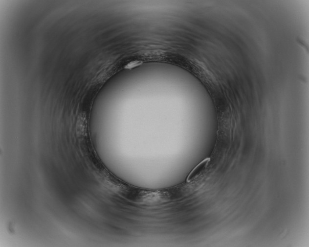 X0000096640083200802191229