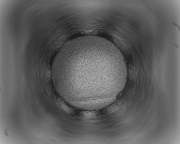 X0000096640085200802191229