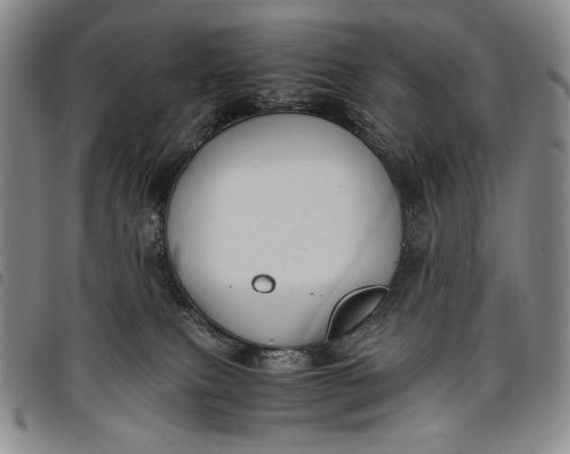 X0000096640087200802191229