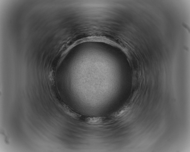 X0000096640088200802191229