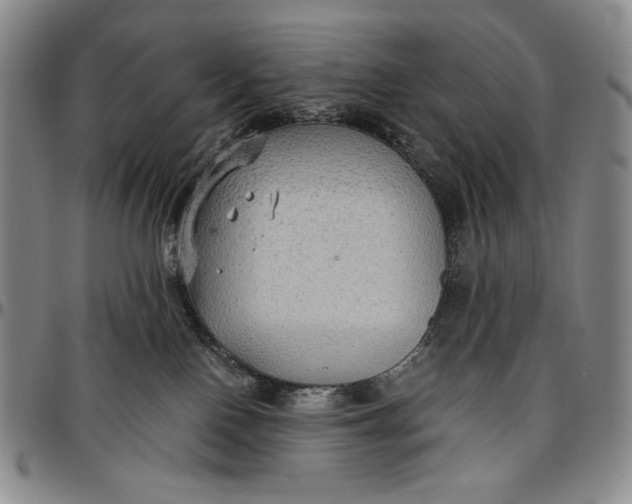 X0000096640090200802191229