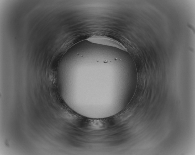 X0000096640091200802191229