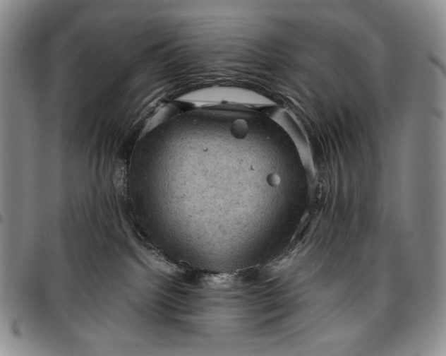 X0000096640092200802191229