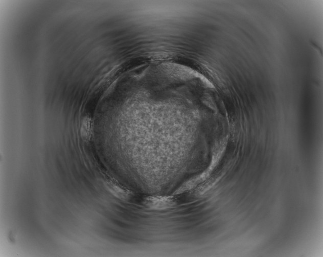 X0000096640093200802191229