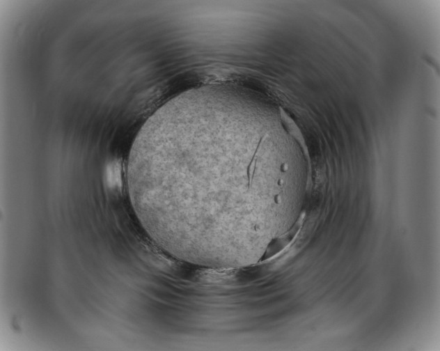 X0000096640094200802191229