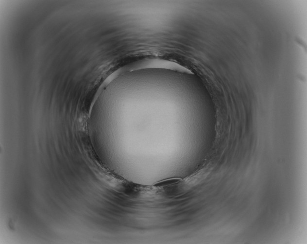 X0000096640096200802191229