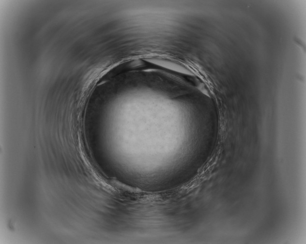 X0000096640097200802191229