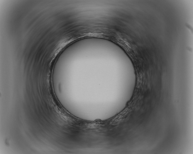 X0000096640098200802191229