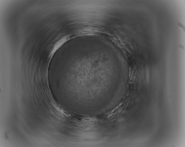 X0000096640099200802191229