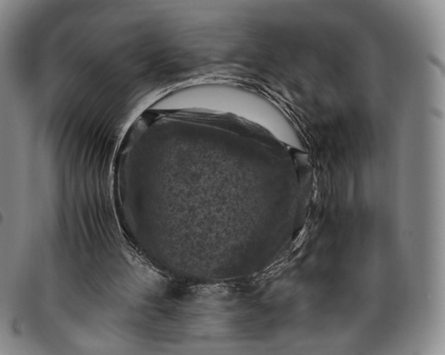 X0000096640100200802191229