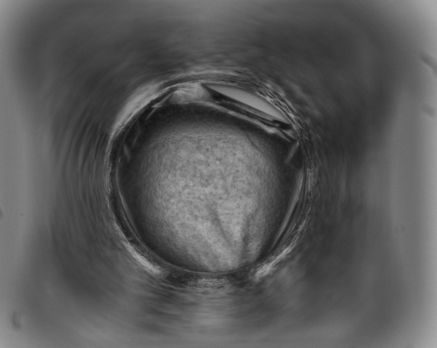 X0000096640101200802191228