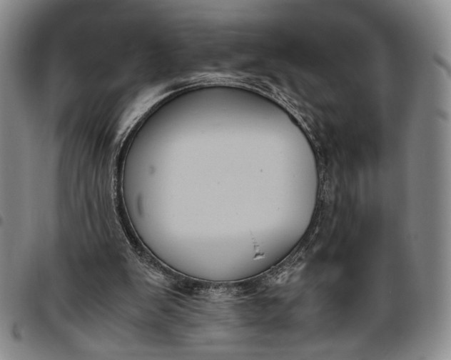 X0000096640103200802191228